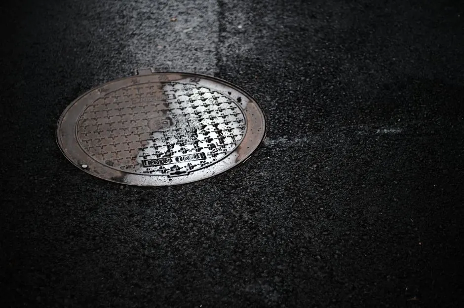 Our Expertise in Sewer Line Repair