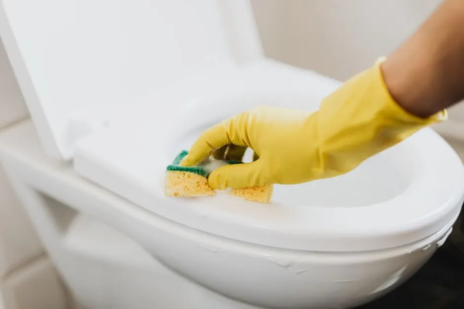 Our Expertise in Toilet Services